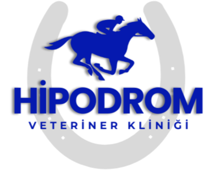 Hipodrom Veteriner Kliniği